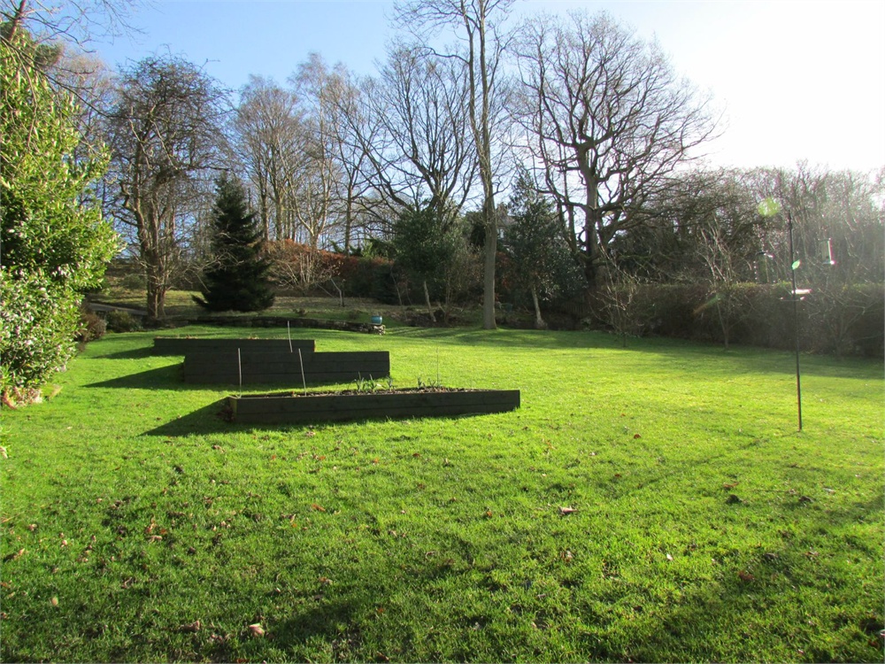 2 Timinets, Honley