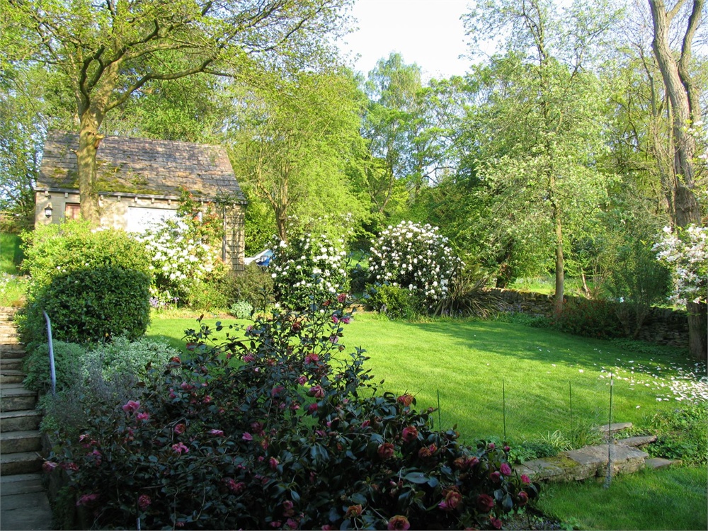 2 Timinets, Honley