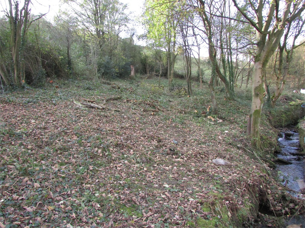 Liphill Bank,