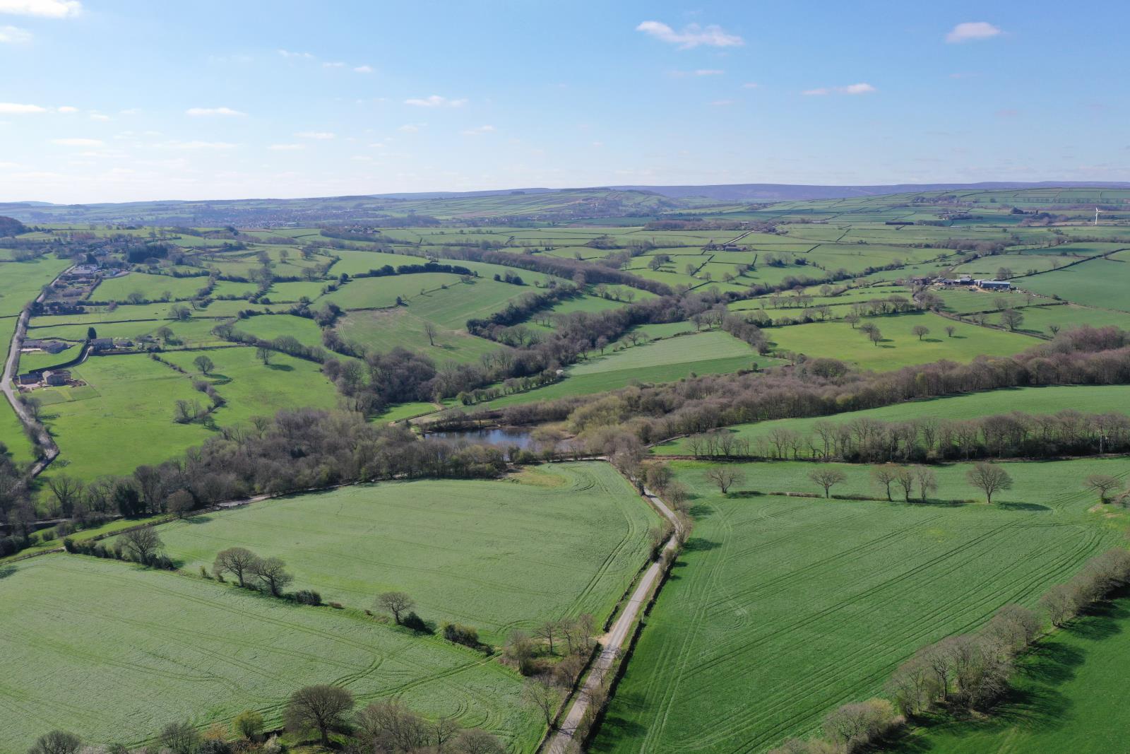 Far Broad Oak Farmhouse, Gunthwaite, S36 7GE